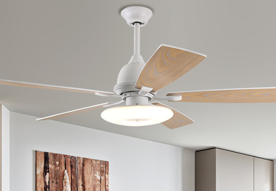 ceiling fan light.png